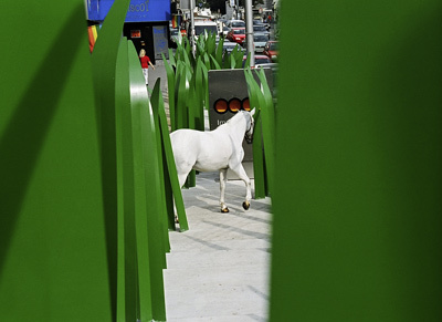 Ein Foto von Hertha Hurnaus