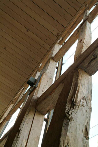 Ein Foto von Nikolaus Walter