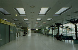 Ein Foto von Paul Ott