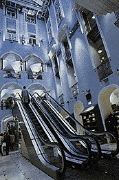 Ein Foto von Paul Ott