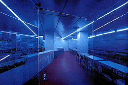 Ein Foto von Rupert Steiner