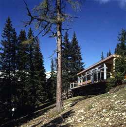 Ein Foto von Paul Ott