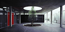 Ein Foto von Rupert Steiner