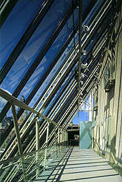 Ein Foto von Damir Fabijanić