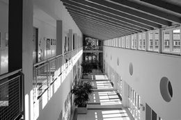 Ein Foto von Ignacio Martinez