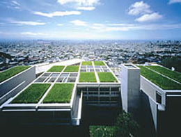 Ein Foto von Shigeo Ogawa