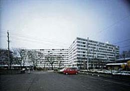 Ein Foto von Hisao Suzuki