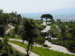 Ein Foto von Rita Weilacher