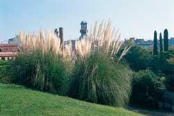 Ein Foto von Udo Weilacher