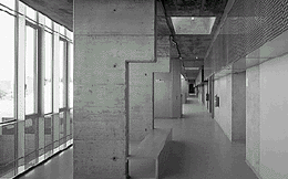 Ein Foto von Rupert Steiner