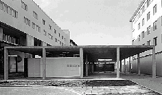 Ein Foto von Rupert Steiner