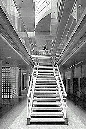 Ein Foto von Helmut Tezak