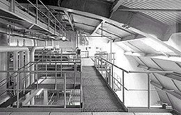 Ein Foto von Rupert Steiner