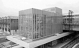 Ein Foto von Michaela Seidler