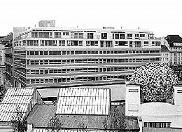 Ein Foto von Michaela Seidler