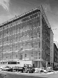 Ein Foto von Monika Nikolic