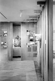 Ein Foto von Steiner