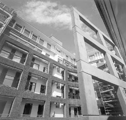 Ein Foto von Monique Heintz