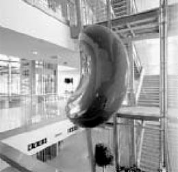 Ein Foto von Paul Ott