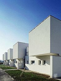 Ein Foto von Rupert Steiner