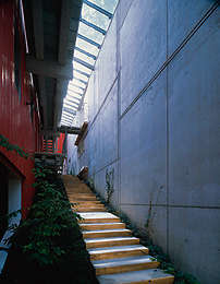 Ein Foto von Paul Ott