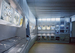 Ein Foto von Ramak Fazel