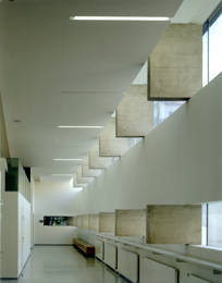 Ein Foto von Angelo Kaunat