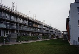 Ein Foto von Sasha Pirker