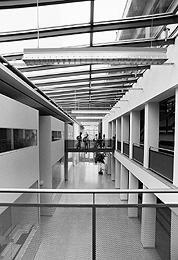 Ein Foto von Nikolaus Walter