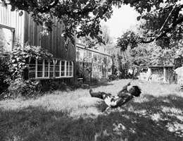 Ein Foto von Nikolaus Walter