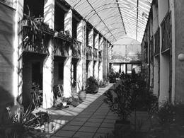 Ein Foto von Adolf Bereuter