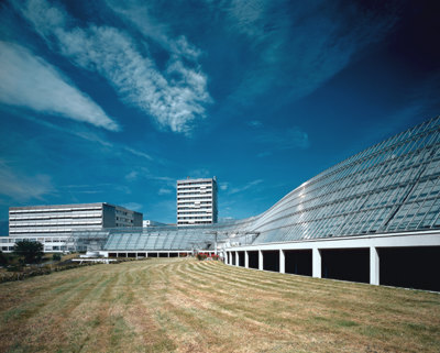 Ein Foto von Craig Kuhner