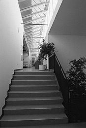 Ein Foto von walser + werle