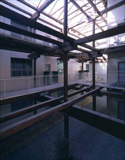 Ein Foto von Paul Ott