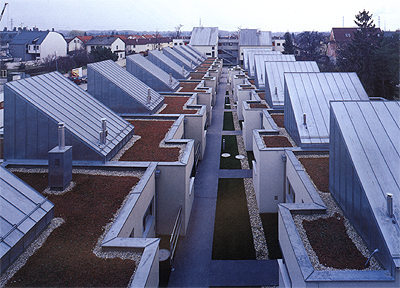 Ein Foto von Rupert Steiner