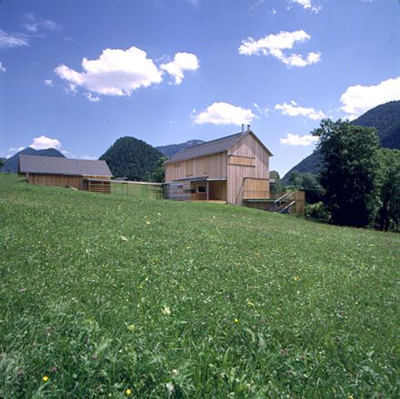 Ein Foto von Paul Ott