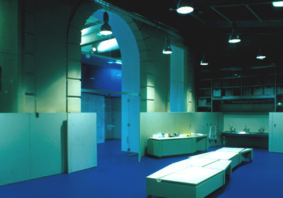 Ein Foto von Pez Hejduk