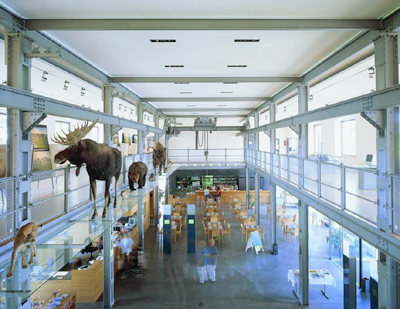 Ein Foto von Ignacio Martinez