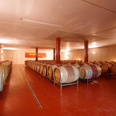 Ein Foto von Paul Ott