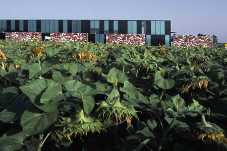 Ein Foto von Stephan Wiesinger