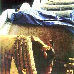 Ein Foto von Architekturführer Kassel