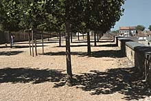 Ein Foto von Udo Weilacher