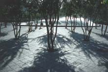 Ein Foto von Udo Weilacher