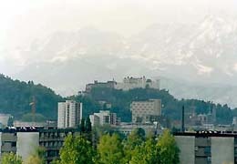 Ein Foto von Norbert Mayr