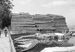 Ein Foto von Walter Zschokke