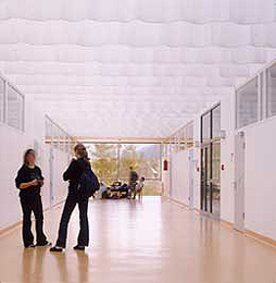 Ein Foto von Paul Ott