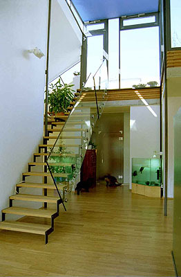 Ein Foto von Maurizio Tami