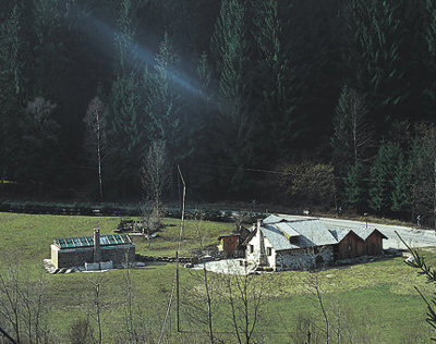 Ein Foto von Elfi Tripamer