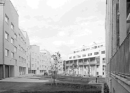 Ein Foto von Walter Zschokke