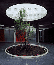 Ein Foto von Rupert Steiner